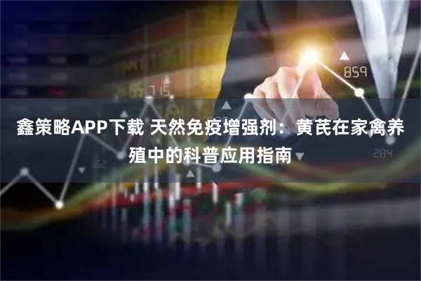 鑫策略APP下载 天然免疫增强剂:黄芪在家禽养殖中的科普应用指南